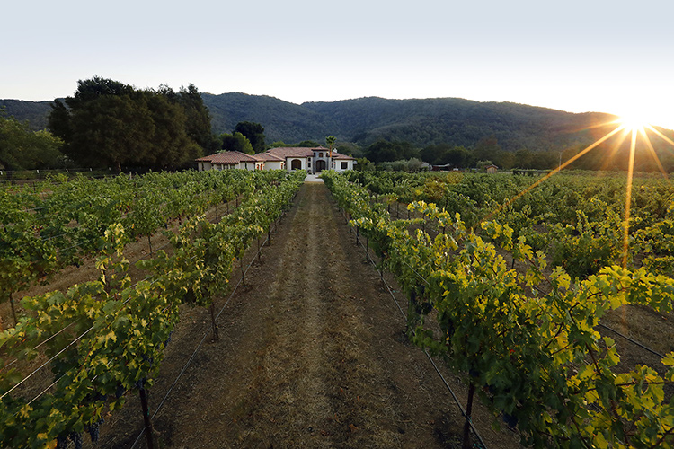 home design winery estate morgan hill
